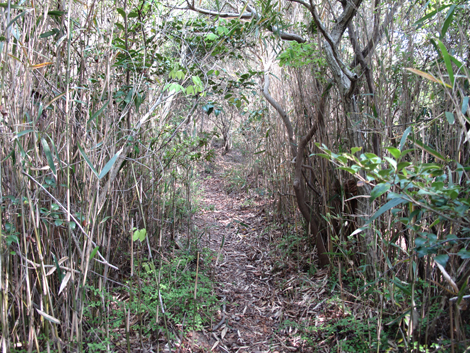 20140426hike (217)